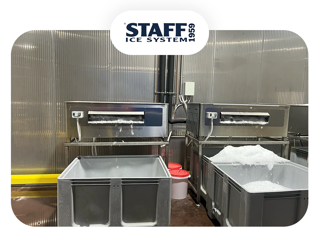 STAFF